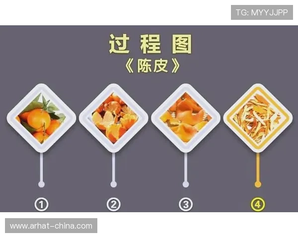 科学乒乓球训练新方法：掌握节奏提升竞技水平的全面指南